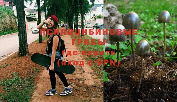тгк Абаза