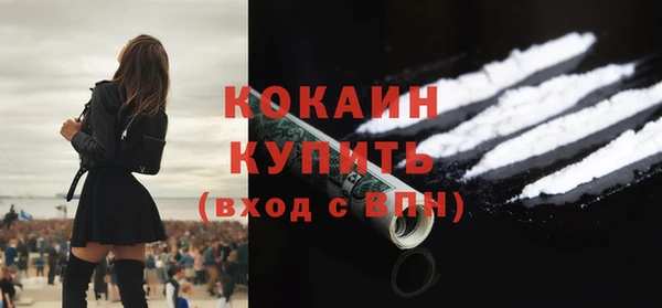 тгк Абаза