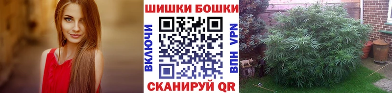 Бошки марихуана OG Kush  Тбилисская 